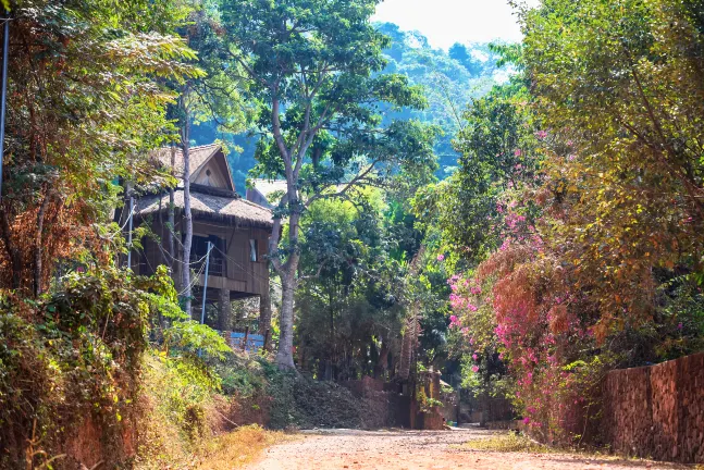 Hotels in der Nähe von Pagoda