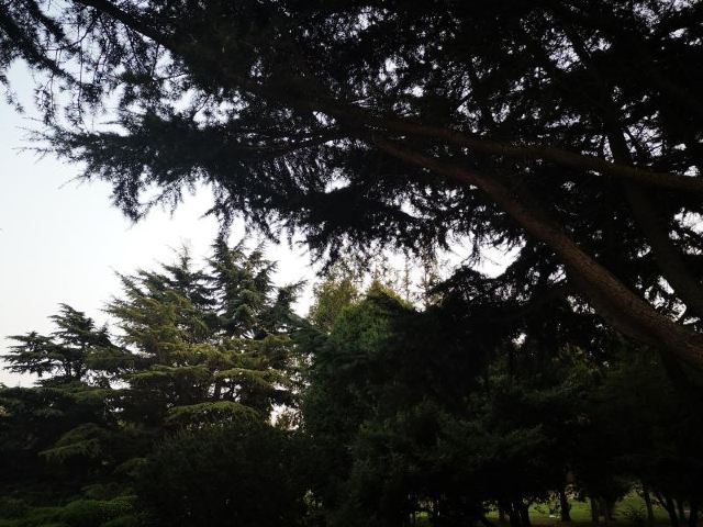 노동공원