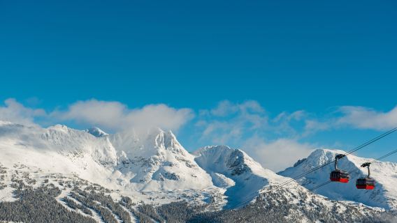Лучшая однодневная поездка в Уистлер и водопад Шеннон из Ванкувера, Канада