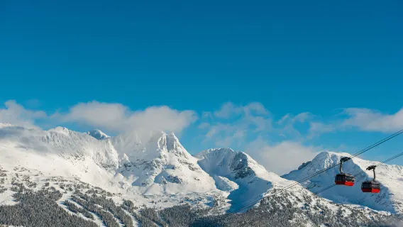 캐나다 밴쿠버 출발 베스트 휘슬러, 섀넌 폭포 당일 여행