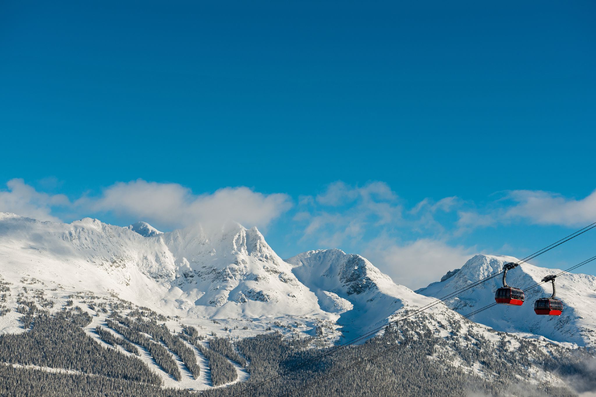Il miglior viaggio di un giorno a Whistler e Shannon Falls da Vancouver, Canada