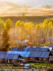 Baihaba Forest Park