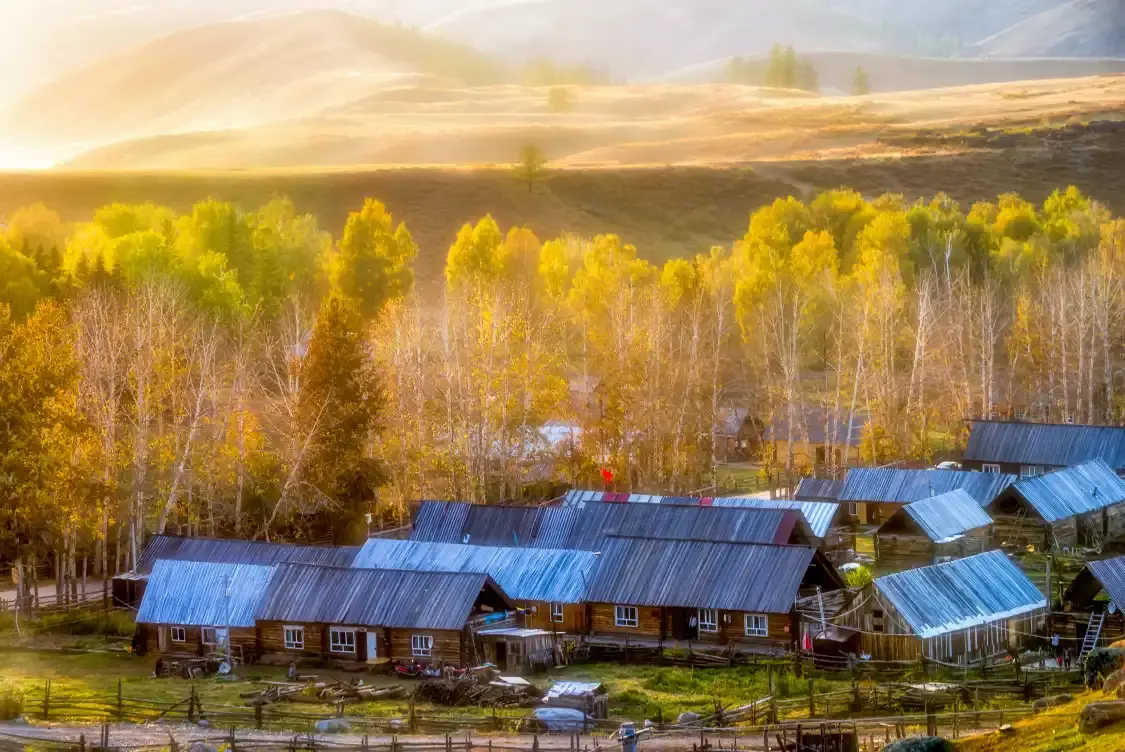 Hotels near Baihaba Forest Park