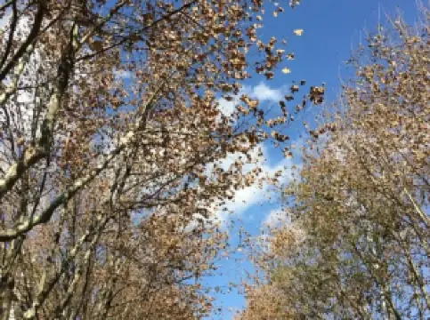 ทะเลสาบเตียนฉือ