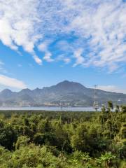 Tamsui River Mangrove Nature Reserve