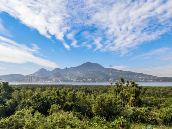 Tamsui River Mangrove Nature Reserve