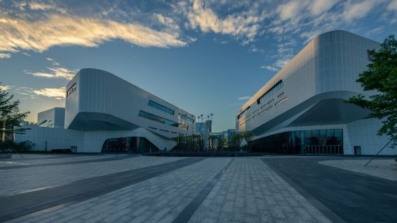 Jinan Private Guided Day Tour Shandong Museum Jinan Old Commercial Port Daming Lake Qushuiting Street Furong Street Baotu Spring