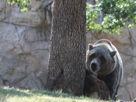 Berlin Zoological Garden