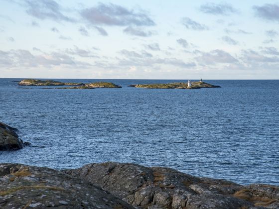 Centre Island
