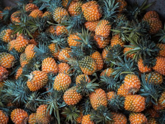 The Sea of Pineapple
