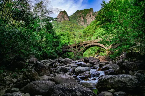 약왕산(야오왕산)