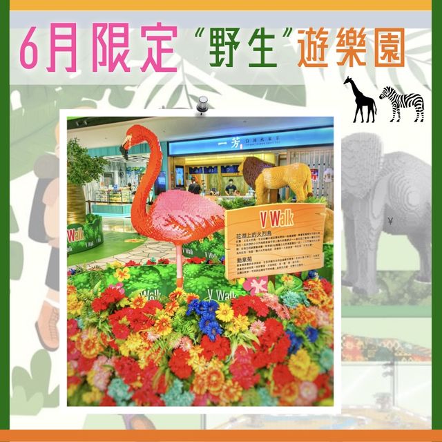 【期間限定|免費入場|室內野生動物園?!😮】 【期間限定|免費入場|室內野生動物園?!😮】