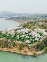 Hongshawan Ecological Park