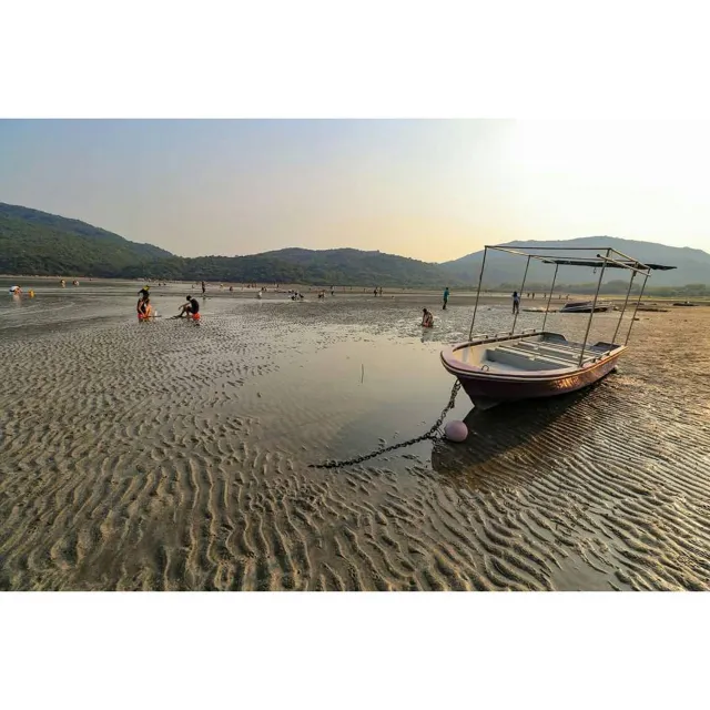 【2026摸蜆攻略】摸蜆季節、3大摸蜆地點推薦！（附摸蜆教學和工具）