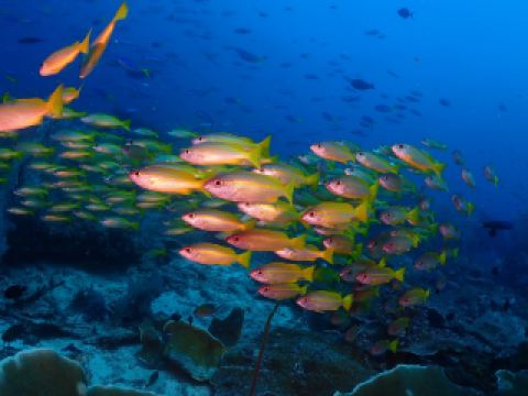 10 โรงแรมหรูยอดนิยมในเพชรบูรณ์