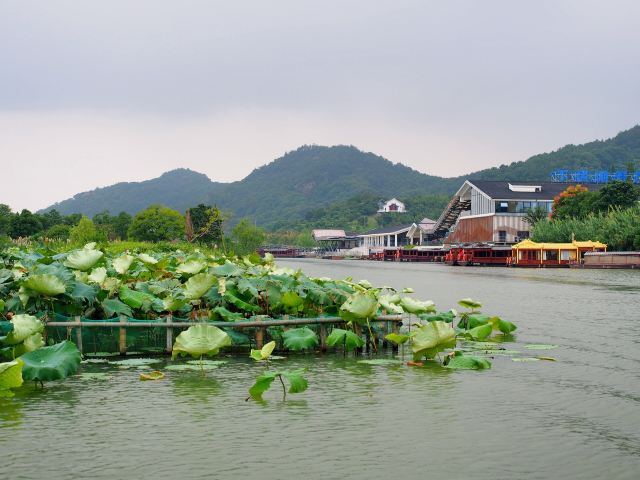德清下渚湖濕地公園