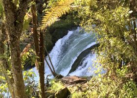 Rotorua Thermal Holiday Park