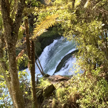 Flights from Frankfurt to Whakatane