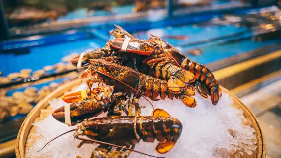 The Grand Buffet at Grand Lisboa Palace Macau (Official Ticket +NY8 New Yaohan $50 Coupon Included)