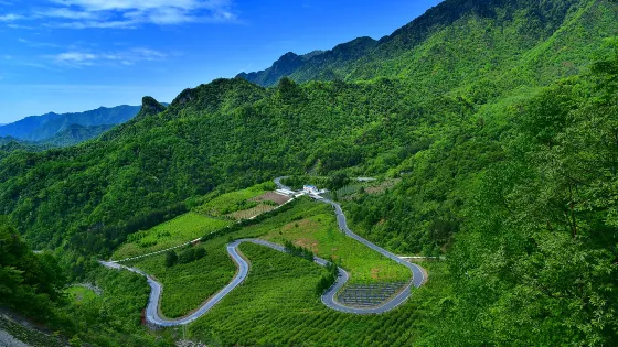 千家坪國家森林公園