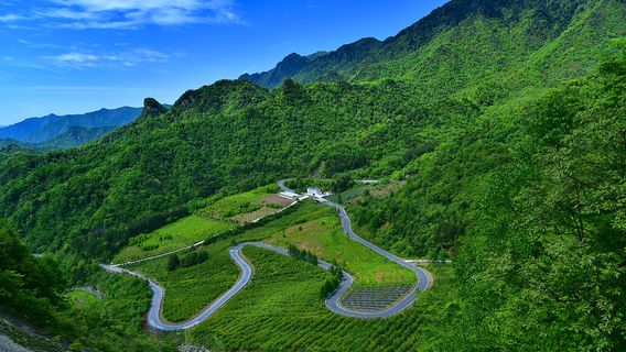 Qianjiaping Forest Park