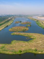 Xi'an Weihe Ecology Landscape Area