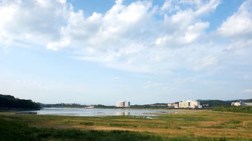 보문호(Bomunho Lake)