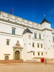 Großfürstliches Schloss Vilnius