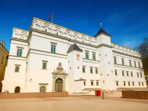 Großfürstliches Schloss Vilnius