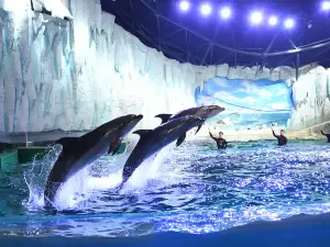 하얼빈 극지공원·극지관