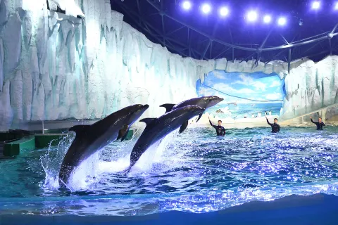 Harbin Polarland·Polarland