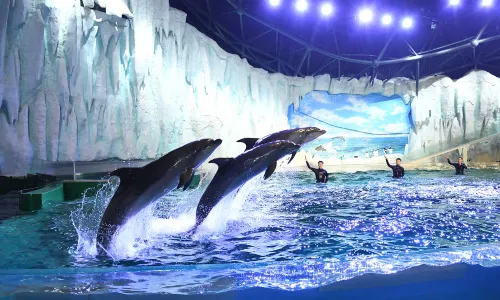 Harbin Polarland·Polarland