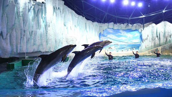 Harbin Polarland·Polarland