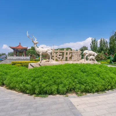Thank You Inn Hotels in Baotou