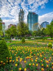 St. James Park