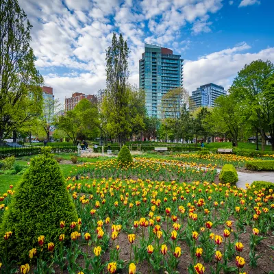 Отели в районе Броктоне деревня