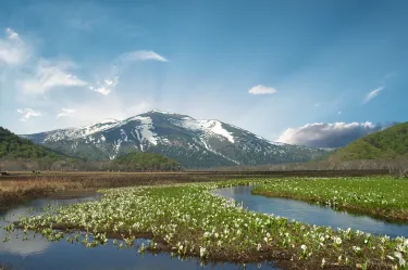 Oze National Park