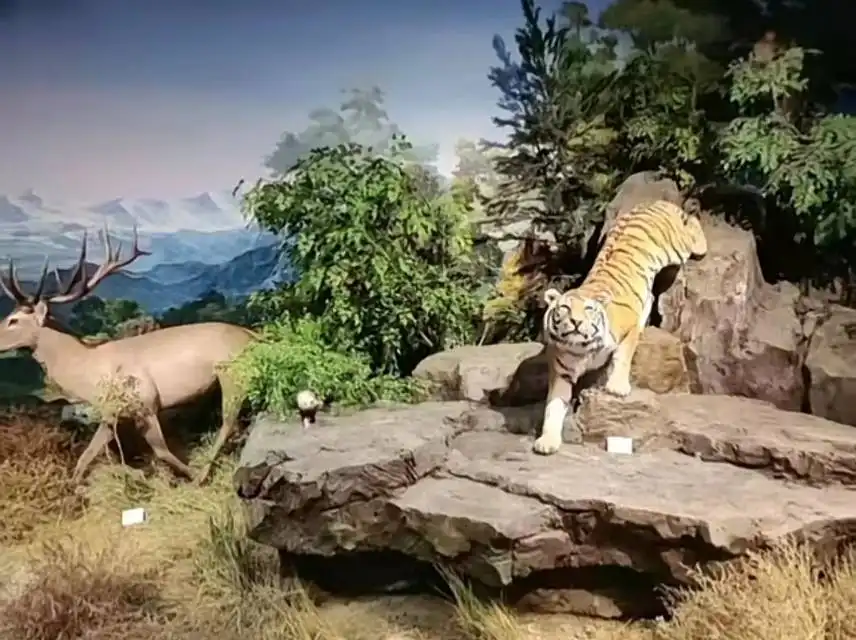 Hotels near Nanjing Shifan Daxue Zhenxi Dongzhi Museum