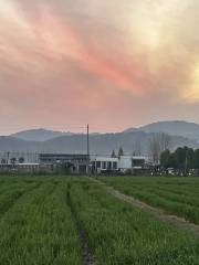 State-owned Sanhu Farm in Hubei Province