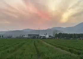 State-owned Sanhu Farm in Hubei Province