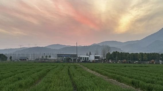 State-owned Sanhu Farm in Hubei Province