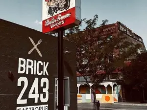 Brick 243