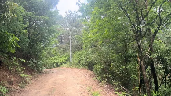 老塔山