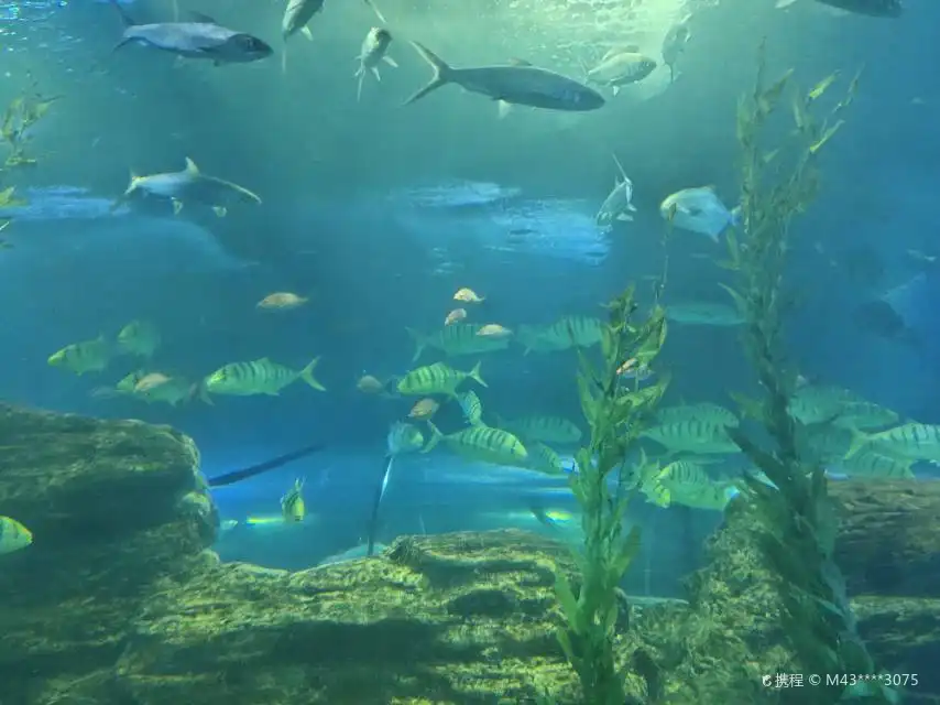 톈야 열대 해양동물원 주변 호텔