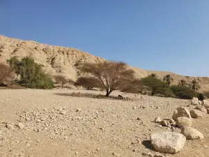 Wadi Arugot