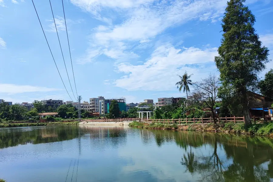 吳川市淺水區森林公園