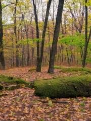 Gebhard Woods State Park