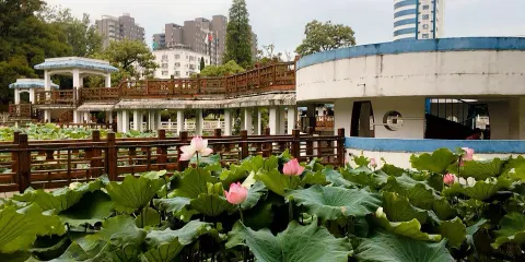 翠湖公園
