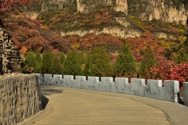 Shijiazhuang Fall Leaves Viewing