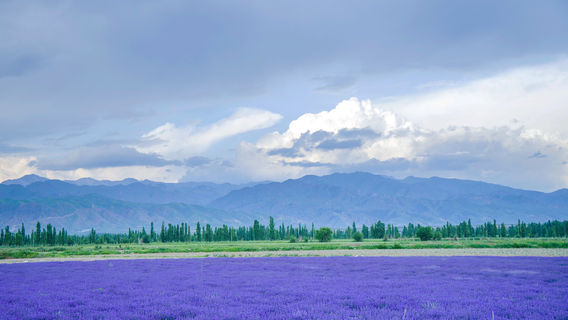 Huocheng
